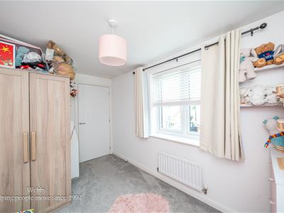 Picture 25